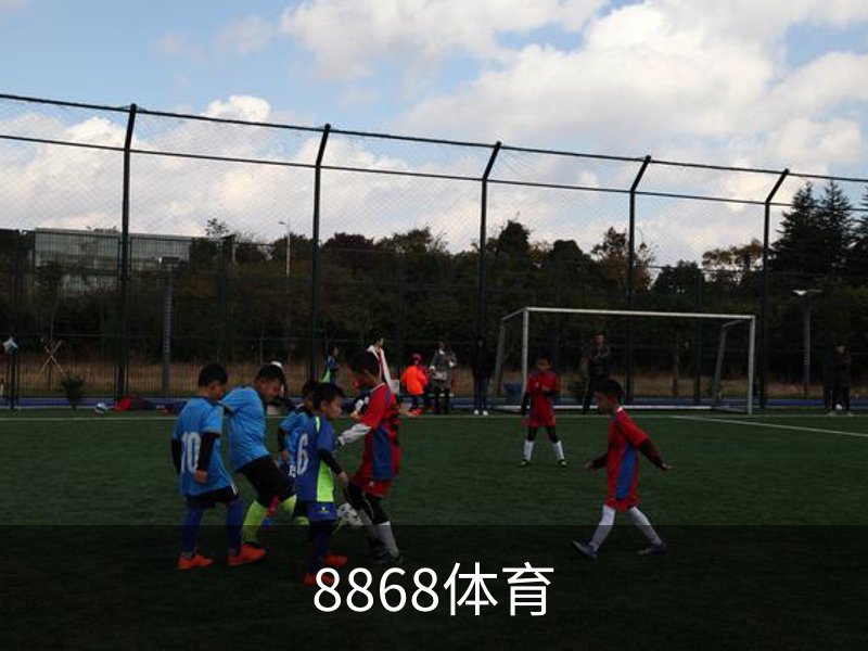 8868体育介绍